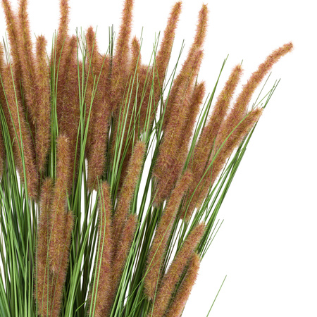 Faux Grass with Seed Heads Natural (12pk) 850mm