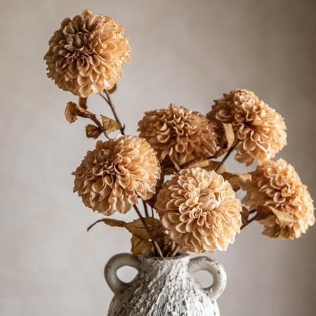 Faux Stem Dahlia Ivory 730mm (6pk)