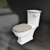 WASHINGTON Deska WC W/O cappuccino mat (514)