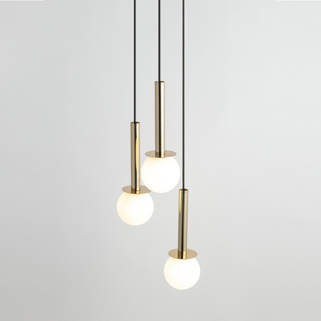 DAISY 3 złoty/biały