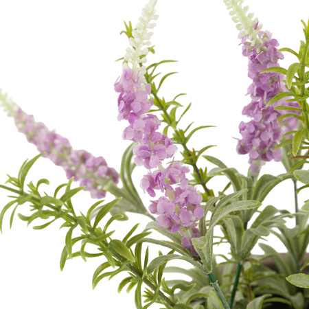 Potted Rustic Lilac Lavendar 280x280x300mm