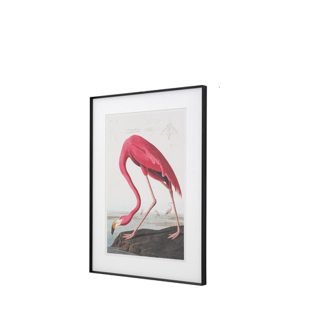 Wading Flamingo Framed Art 600x900mm
