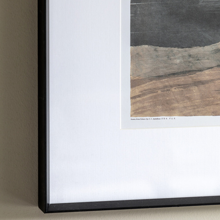 Pellicano Framed Art 600x900mm
