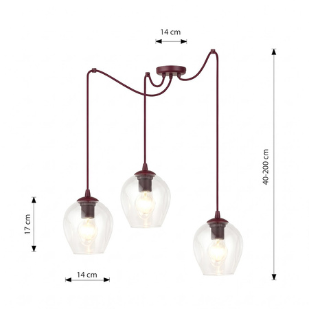 LEVEL 3 BURGUNDY TRANSPARENT