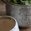 Meadow Floral Planter Set of 2