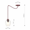 LEVEL 1 BURGUNDY TRANSPARENT