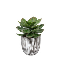 Potted Succulent in Ribbed Black Ceramic Pot