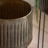 Elda Planters Gold Set of 2