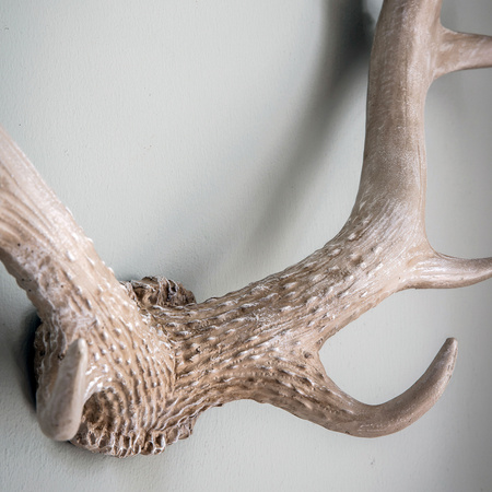 Bjorn Antler Wall Art White 550 x 140 x 440 mm