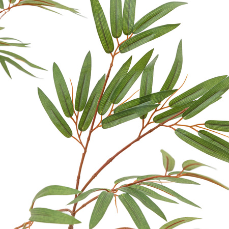 Potted Bamboo Tree 5ft