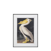Pellicano Framed Art 600x900mm
