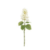 Vintage Cone Hydrangea Floral Stem Ivory (12pk)