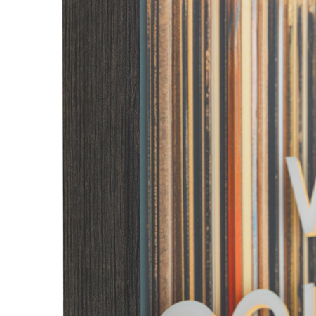 The Vinyl Collector Framed Art 540x60x540mm
