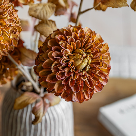 Faux Stem Dahlia Burnt Orange 730mm (6pk)