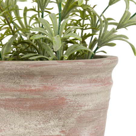 Potted Rustic White Lavendar 280x280x300mm