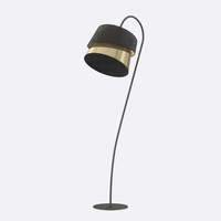 CANVA LP1 BLACK GOLD