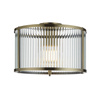 Ridgeton 1 Ceiling Light