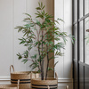 Potted Bamboo Tree 4ft