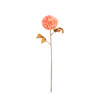 Faux Stem Dahlia Apricot 730mm (6pk)