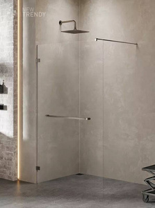 KABINA AVEXA GUNMETAL BRUSHED WALK-IN 110x200 CZYSTE 6mm ACTIVE SHIELD