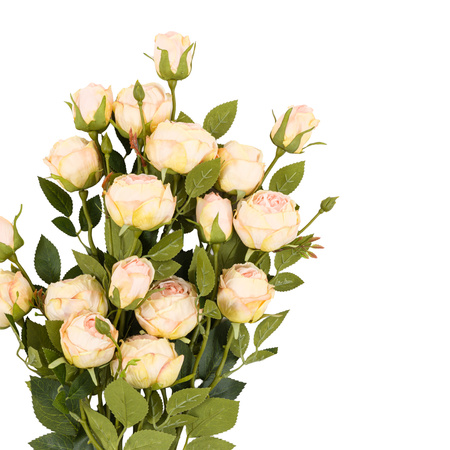 Faux Stem Vintage Rose White 540mm (6pk)