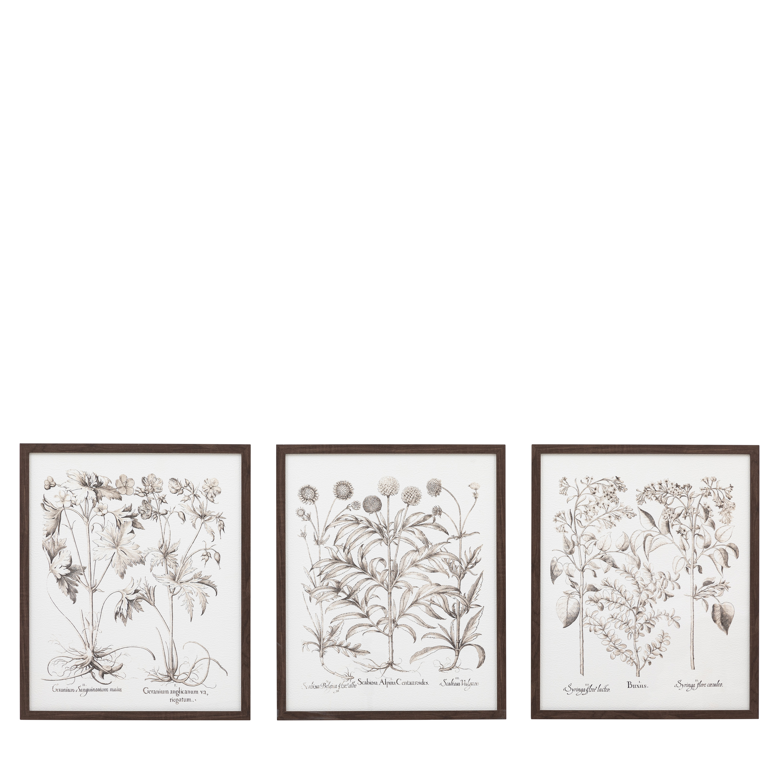 Obraz w ramie „Evergreen” – czarny, 50 × 3 × 60 cm, zestaw 3 szt.