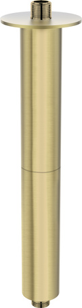 Wylewka prysznicowa sufitowa - 300 mm
