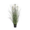 Potted Grass w/4 Heads White 850mm
