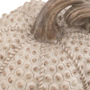 Resin Pumpkin Natural 240mm