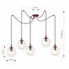 GIGI 5 BURGUNDY TRANSPARENT