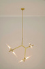 MOOSEE lampa wisząca CANDELABR 6 złota