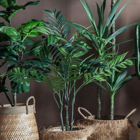 Palma areca mała 710 x 710 x 910 mm