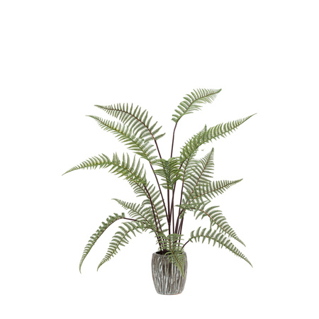 Tall Fern in Textured Grey Ceramic Pot