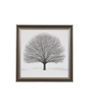 Obraz w ramie „Silent Beauty” – szary, 82 × 3,8 × 82 cm