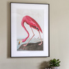 Wading Flamingo Framed Art 600x900mm