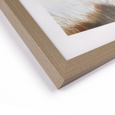 Beyond the Dunes Framed Art 600x28x750mm