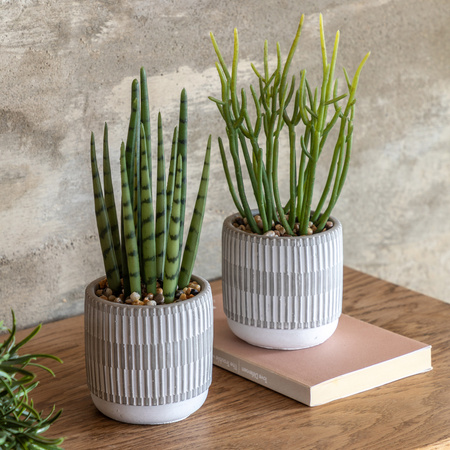 Small Succulents Ceramic Pots Set of 2