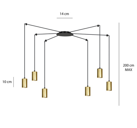 TRAKER 6 BL/GOLD