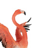 KARE dekoracja stojąca FLAMINGO ROAD FLY