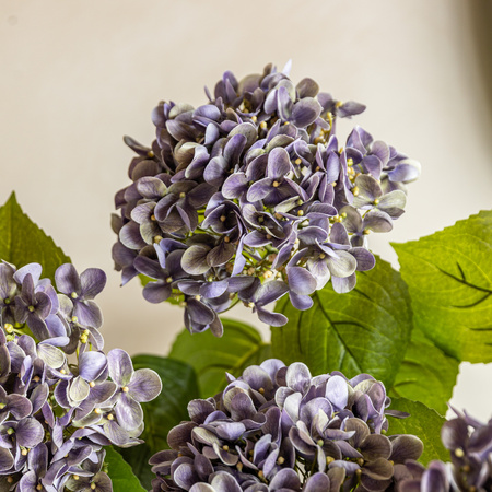 Vintage Hydrangea Floral Stem Violet (12pk)