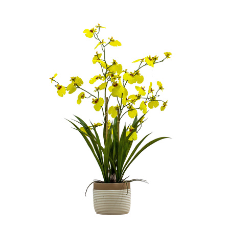 Potted Oncidium Orchid (real touch) Yellow H640mm