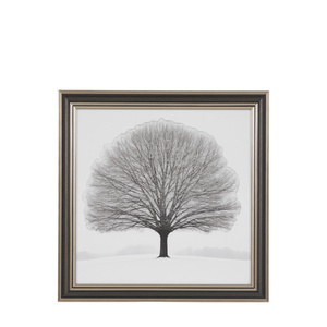 Silent Beauty Framed Art 820x38x820mm