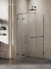 KABINA AVEXA GUNMETAL BRUSHED PROSTOKĄTNA P 110x70x200 CZYSTE 6mm ACTIVE SHIELD