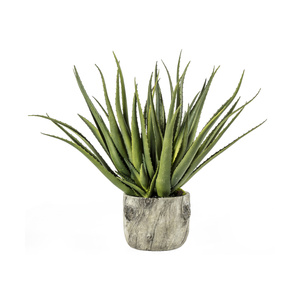 Aloes w doniczce z efektem kory 350 x 350 x 530 mm