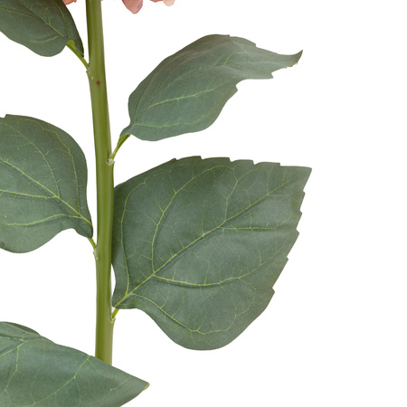 Vintage Cone Hydrandea Stem Pink (12pk)