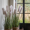 Potted Grass with Pampas Seed Heads 1570mm