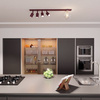 BASTER 5 BURGUNDY TRANSPARENT