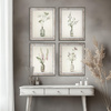 Wild Parsnip Framed Art 460x40x360mm