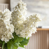 Vintage Cone Hydrangea Floral Stem Ivory (12pk)