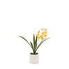 Orchid Orange in White Ceramic Dot Pot 400mm